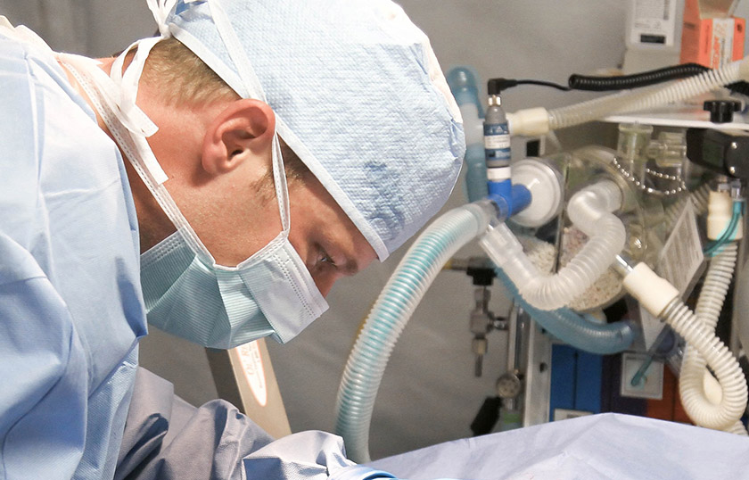 Why more and more people prefer to use disposable adult bibs ?